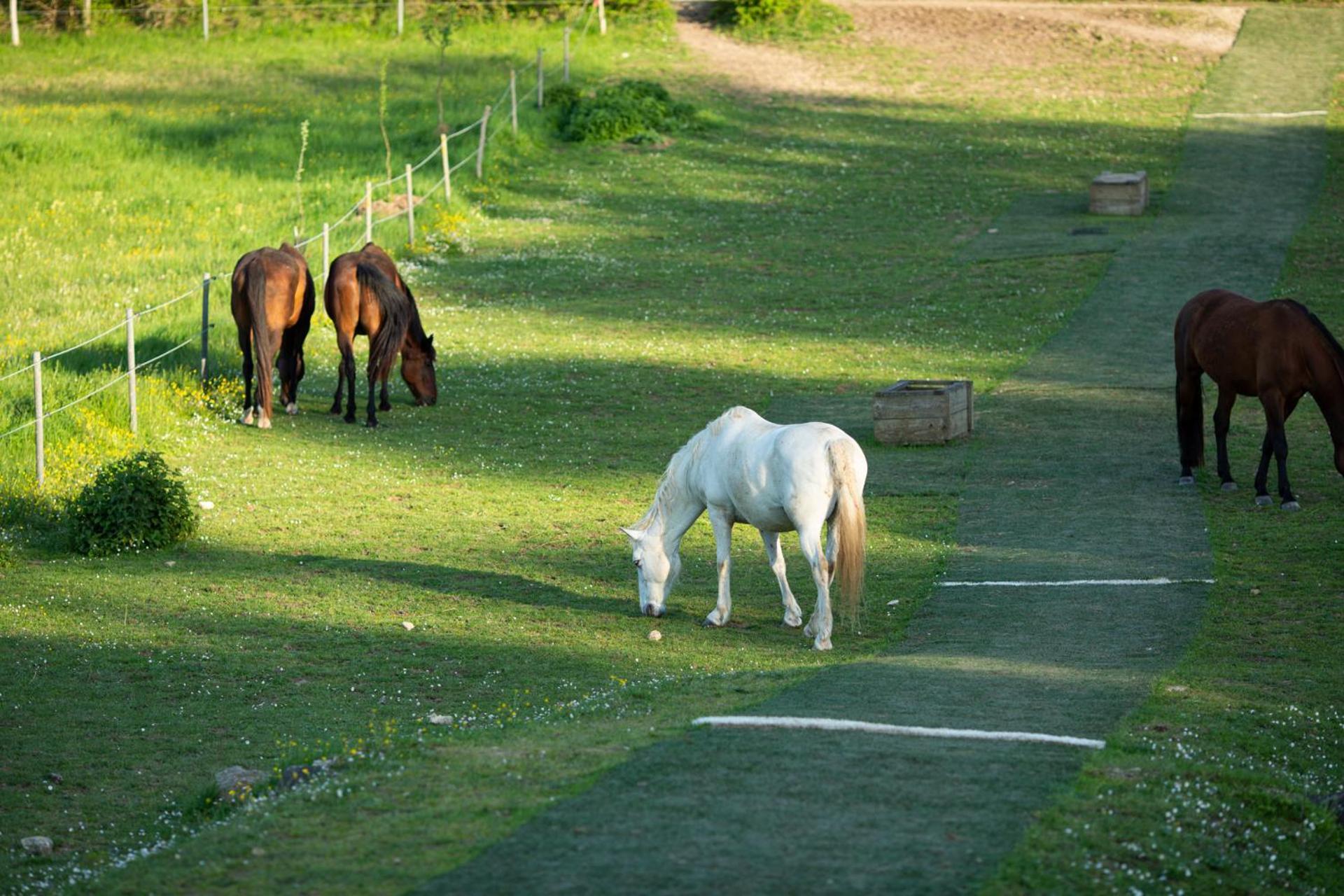 Domaine De Chantemerle B'nB Marsac  Extérieur photo